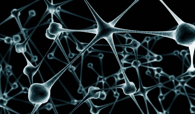 Нейронные сети