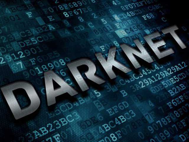Darknet программирование где заблокирован тор браузер
