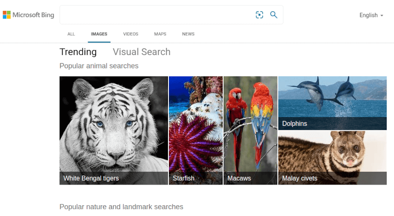 11 лучших поисковых систем изображений, которые нельзя пропустить!