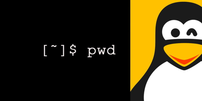 Команда pwd в Linux с примерами