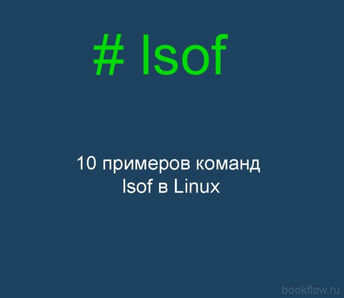 10 примеров команд lsof в Linux